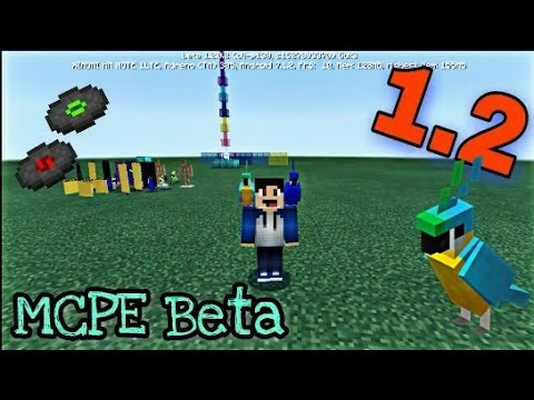 Minecraft Pe 1 2 0 2 Parrots Fireworks Banner And Many New