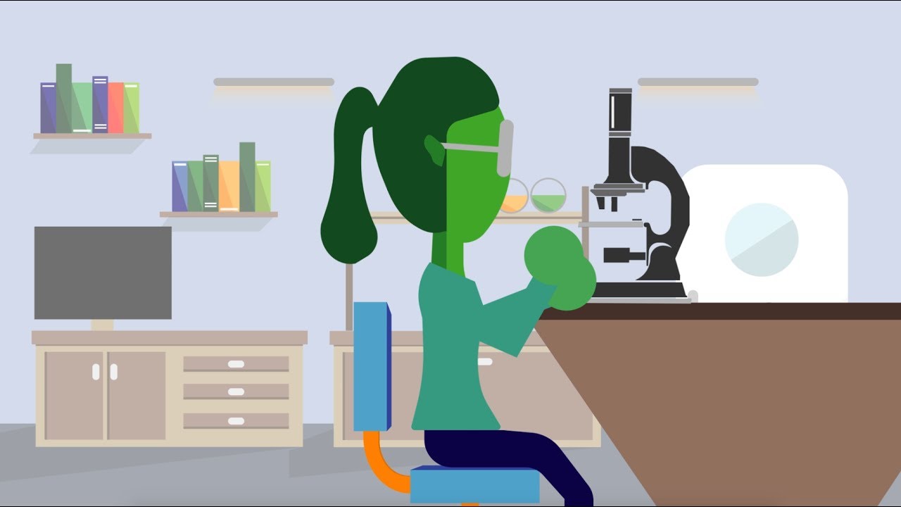NANOSCALE VIEWS visual data 3