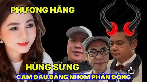 PHƯƠNG HẰNG . LỘT MẶT Ổ PHẢN ĐỘNG HOÀNG DUY HÙNG