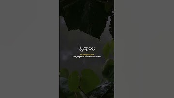 سورة الإسراء#AlQuran   #QuranicTale