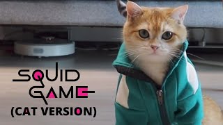 Squid Game - Cat Version by Petites Paws 102,048 views 2 years ago 1 minute, 2 seconds