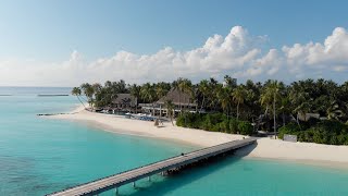 A Prehistoric Halloween | Velaa Private Island Maldives