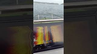 Vieweing Fish On Garmin Echomap Uhd2 Side View