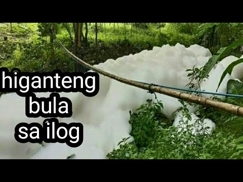 Video: Paano Makakuha Ng Mga Higanteng Bula Sa Bahay