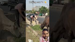 #animals #humanity #helping #trendingshorts #youtubeshorts #shortvideo #viralvideo