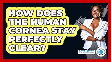 How Does The Human Cornea Stay Perfectly Clear? - Optometry Knowledge Base