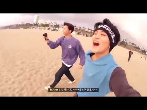 NCT마크의 내 친구 갈맥이