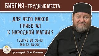 Для чего Иаков прибегал к народной магии (Бытие  30: 31-43)?  Протоиерей Олег Стеняев