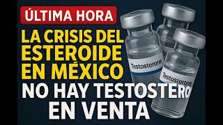 LA CRISIS DE LOS CHOCHOS EN MEXICO EN EL 2025