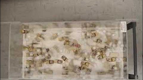 Mousetrap reactor (top view slow motion)