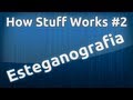 How Stuff Works - #2 - Esteganografia - Nickguitar.dll