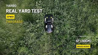 🌱 How Tall Can Yarbo Go? | Product Boundary Test