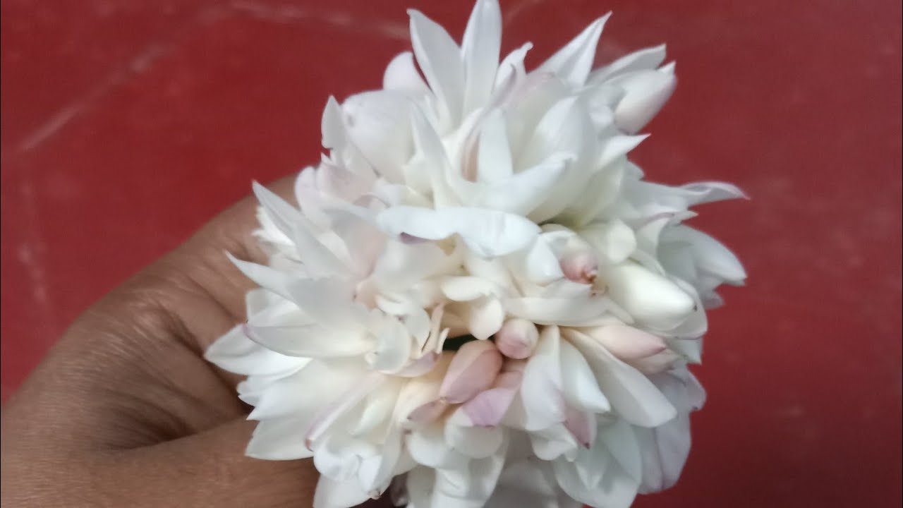 Easy tricks to jathi malli flower in criss cross method| bridal flower| pinnal jadai🥰