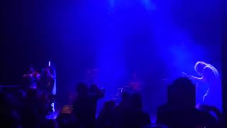 Foxtails - Ego Death - Live at AMFest Festival