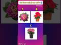 तेज दिमाग वाले ही बता पाएंगे 🤔 | Lantana Periwinkle Pentas | part 33 | #shorts #gk #shortvideo