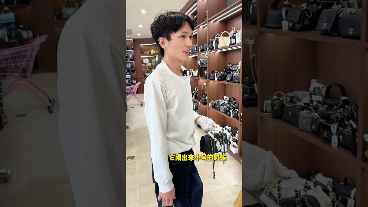 Elder Sister's Thoughtful Gift: Two Perfect Bags for Moms