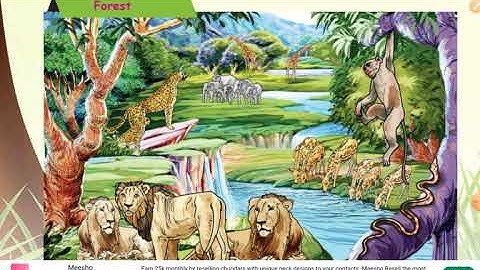 Class II / Science / Term 1 / Lesson 1 / Our Environment / Forest / Part 1 / Samacheer new syllabus