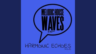 Dark Market (Original Mix)