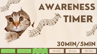30 Minutes Awareness Timer Soft Piano Music | 5 Minutes Alarm Interval | Mindfulness Checking Tool screenshot 2
