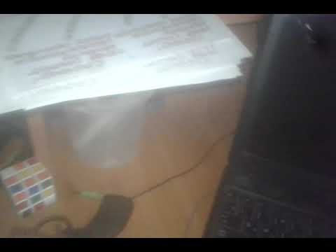 Страшний сон слона