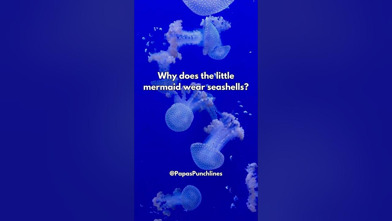 Why does the little mermaid wear seashells?! YouTube