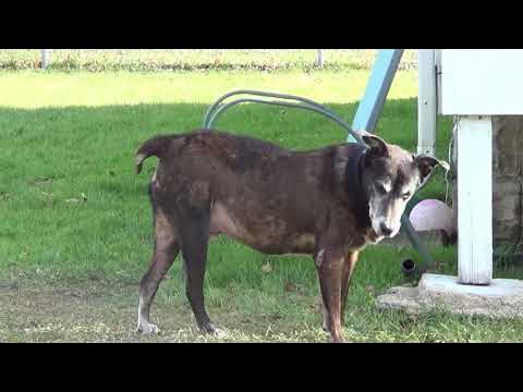 Доктор просто вышел покурить - YouTube
