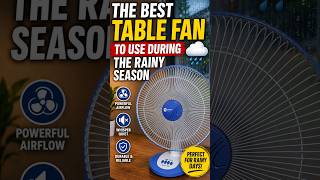 The Best Table Fan to Use During the Rainy Season Orient electric Desk-25 table fan