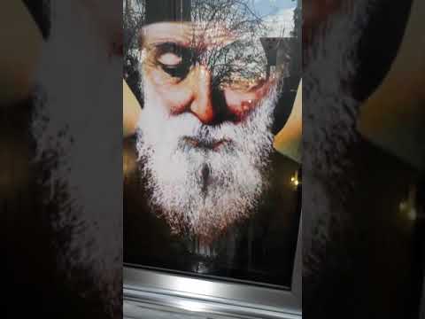 صورة مار شربل ترشح زيت