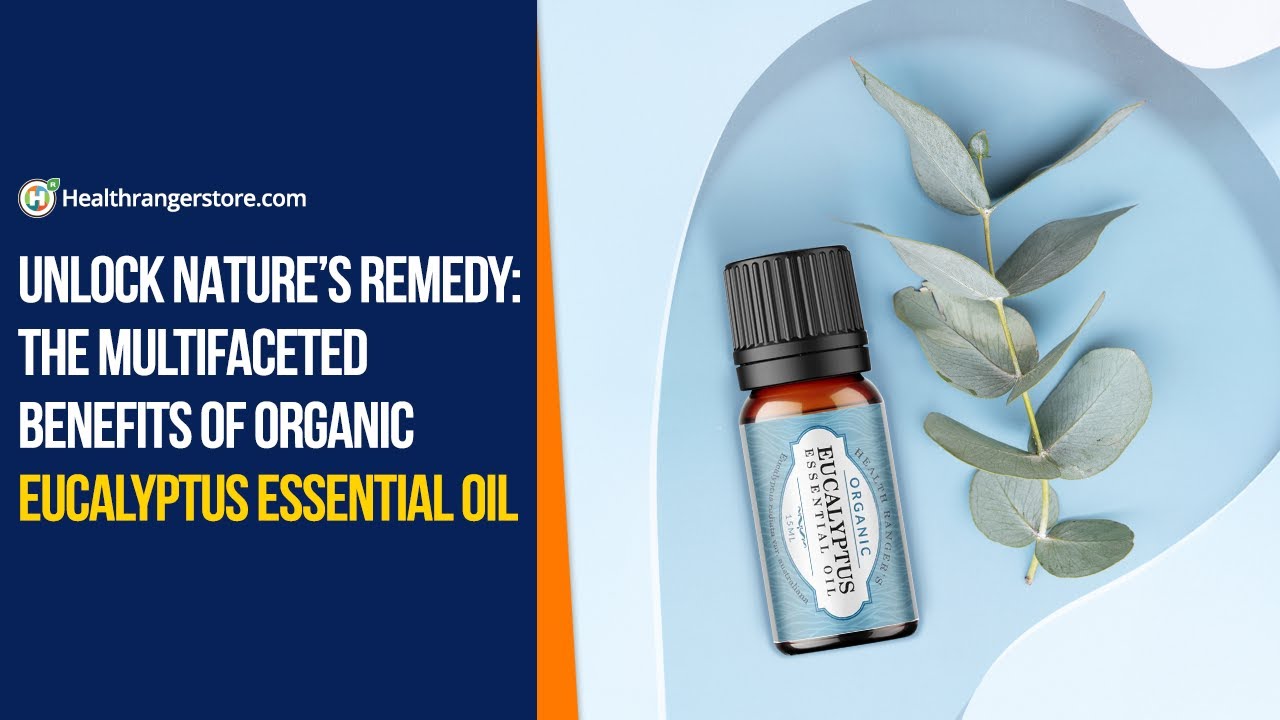 Unlock nature’s remedy: The multifaceted benefits of Organic Eucalyptus Essential Oil