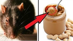 10 DISGUSTING Things You Didn't Know Were in Food You Eat Everyday