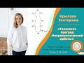 Лекция «Топология преград Микрокосмической орбиты» Крылова Екатерина