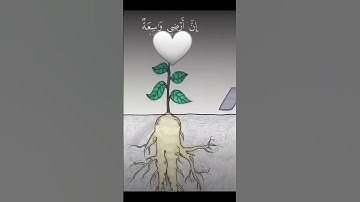ياعبادي الذين آمنوا ان أرضي واسعة 🤍تلاوة خاشعة عبدالرحمن مسعد #قرآن