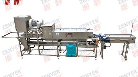 ZENYER 604AS accumulator with egg washer