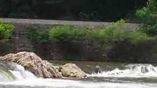 Henderson KY to Outer Banks NC on bicycles 2003
