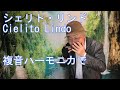 複音ハーモニカ 「シェリト・リンド:Cielito Lindo」西川義夫 第735回