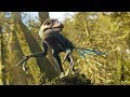 Epidexipteryx : le dinosaure bizarre - ZAPPING SAUVAGE