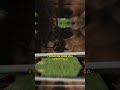 Este juego de excavación es ADICTIVO #shorts #gaming #holediggingmaster #games #shortsgaming #short