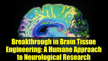Breakthrough in Brain Tissue Engineering: A Humane Approach to Neurological Research
