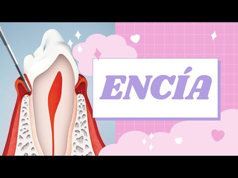 Video: ¿En la gingivitis el epitelio sulcular?