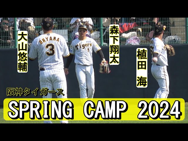 2024 木浪 春季キャンプ ユニフォーム(シャツ) 沖縄限定 宜野座日程表をおつけします