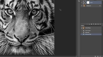 Photoshop Tutorial Selective Colour Effect