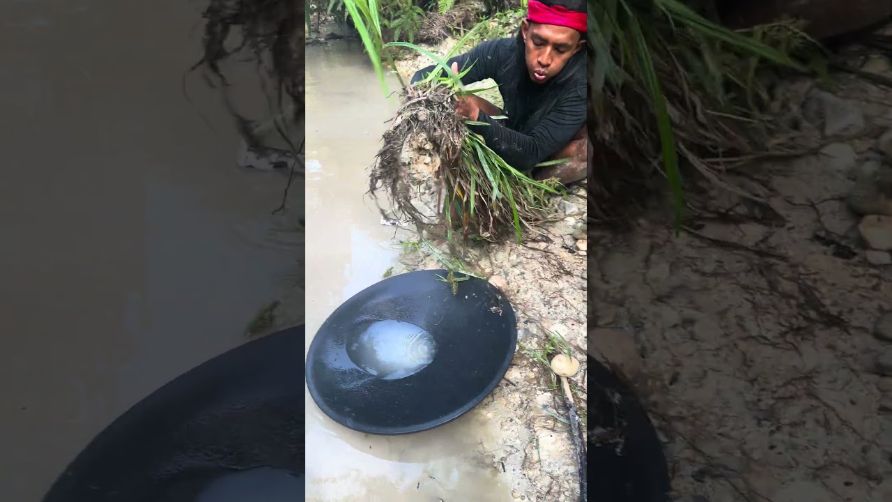 Wow!! Found Gold in the River!! Natural Treasure worth millions of dollar 