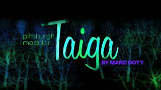 01- The Pittsburgh Modular Taiga- Oscillators Part 1
