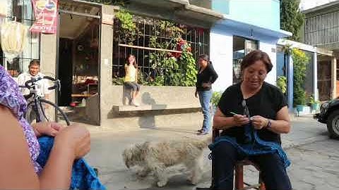 Everybody Up 3 bản 2nd edition: unit 7 weather