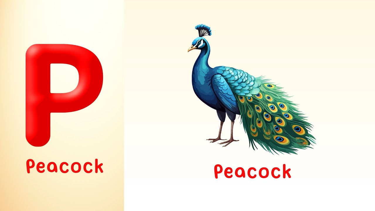 P is for Peacock! Learn & Sing the Peacock Song for Kids | # ...