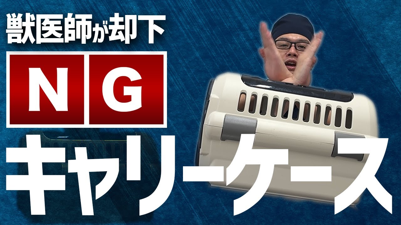 【通院時には結構重要かも！】犬猫飼い主さんが動物病院通院時に使うのはこれがいい！！おすすめキャリーケース！！