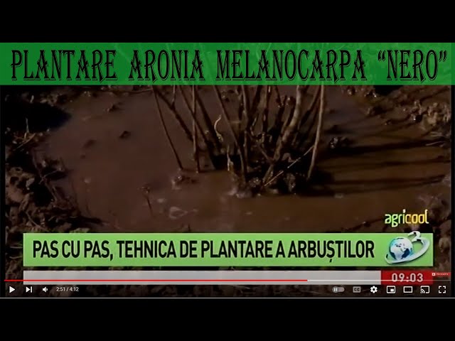 Plantare Aronia melanocarpa in cadrul emisiuni AGRICOL - YouTube