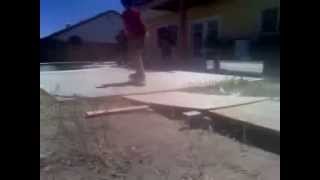 backyard edit 2011