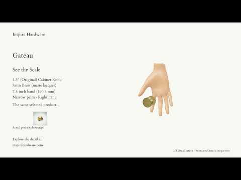 Video preview: Gateau, Satin Brass (matte lacquer) / 1.5" (Original)