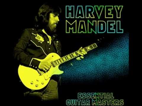 Harvey Mandel - Mona - Live Audio
